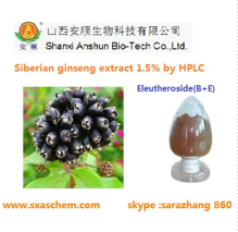China Siberian Ginseng Extract - China Supplier