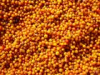 China Sea buckthorn Fruit Extrac - China Supplier China Sea buckthorn Fruit Extrac - China Supplier