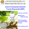 China Resveratrol - China Supplier China Resveratrol - China Supplier