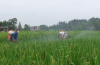 China Spray Adjuvant - China Supplier