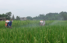 China Spray Adjuvant - China Supplier