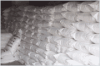 China SHMP - China Supplier
