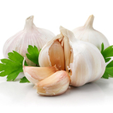 Garlic Extract Powder