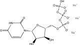 Uridine 5'-triphosphate trisodium salt
