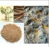 Valerian root powder extract;Valeric acid 0.3%-0.8%