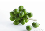 Green coffee bean extract