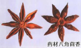 Star anise extract