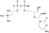 cdp-cholin