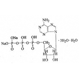 Adenosine Disodium Triphosphate Tablets