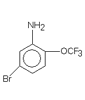 5-Bromo-2-(trifluoromethoxy)aniline