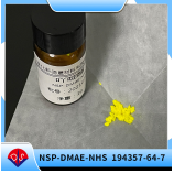 Application of acridine ester NSP-DMAE-NHS in chemiluminescence detection