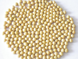soya protein isolated