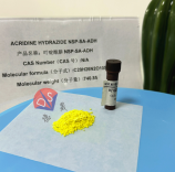 Detailed introduction of NSP-SA-ADH azidylhydrazide