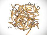 Cordyceps extract polysaccharides