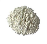 Fish oil powder