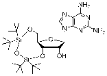 3',5'-O-(1,1,3,3-tetraisopropyl-1,3-disiloxanediyl