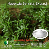 Huperzia Serrata Extract