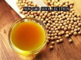 NON-GMO Modified Soya Lecithin