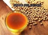 NON-GMO TS Grade Soya Lecithin