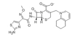 cefquinome