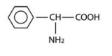 D(-)-alpha-Phenylglycine
