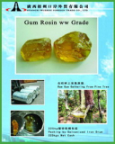 Gum Rosin