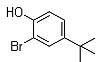 2-Bromo-4-tert-butylphenol