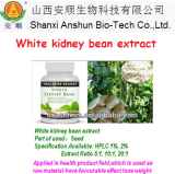 White kidney bean  P.E