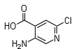 5-Amino-2-chloropyridine-4-carboxylicacid