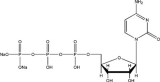 Cytidine 5'-triphosphate disodium salt(CTP-Na2)