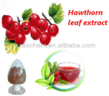 Hawthorn Fruit Extract