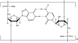 polyinosinic-polycytidylic acid