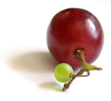 Grape skin plant extract