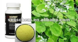 Sex Enhancing Epimedium extract