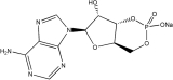  Adenosine 3',5'-cyclic monophosphate sodium salt