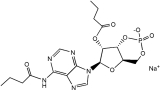 N6-2'-O-Dibutyryl-adenosine 3',5'-cyclophosphate sodium salt monohydrate