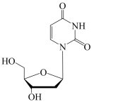 2'-deoxyuridine