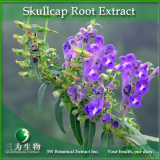 Radix scutellariae plant extract