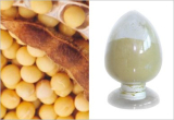 Soybean Extract