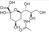 N-Acetylneuraminic acid