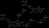 Ademetionine1,4-Butanedisulfonate