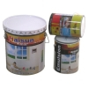 interior wall and exterior wall emulsion paint