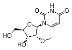 2'-O-Methyluridine