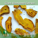 Giant Knotweed Extract