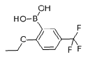 2-ethoxy-5-(trifluoromethoxy)phenylboronicacid