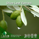 Olive leaf extract