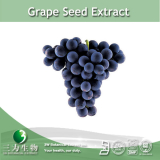 Grape seed extract