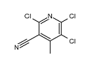 2,5,6-Trichloro-4-methyl-3-pyridinecarbonitrile