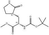 Methyl (S)-2-(Boc-amino)-3-[(S)-2-oxo-3-pyrrolidinyl]propanoate