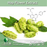 China Hop Flower Extract